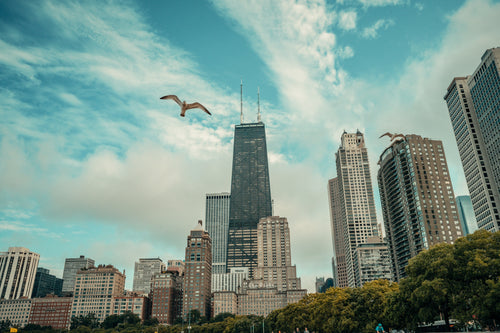 Main image Chicago Summer