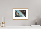 12 x 8″, Street View Ascent Oak Frame Street View Ascent